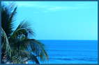 Mazatlan Beach